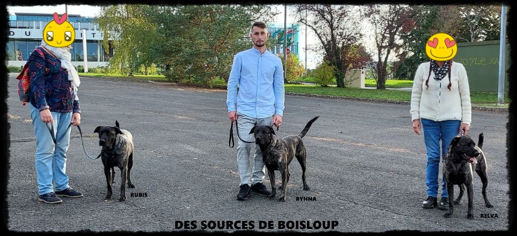des sources de Boisloup - RETOUR DE POITIERS