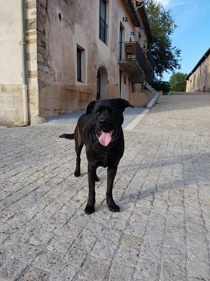 des sources de Boisloup - ILIOS DES SOURCES DE BOISLOUP