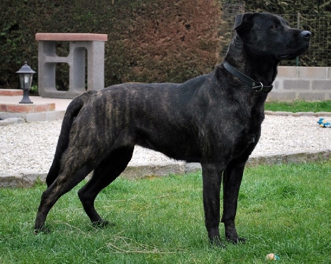des sources de Boisloup - GHIA MULTI CHAMPIONNE