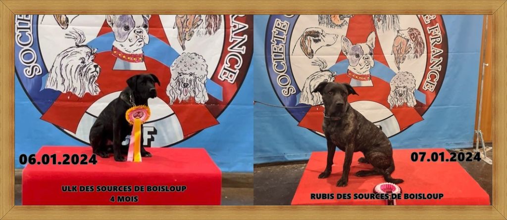 des sources de Boisloup - BON DEBUT D ANNEE