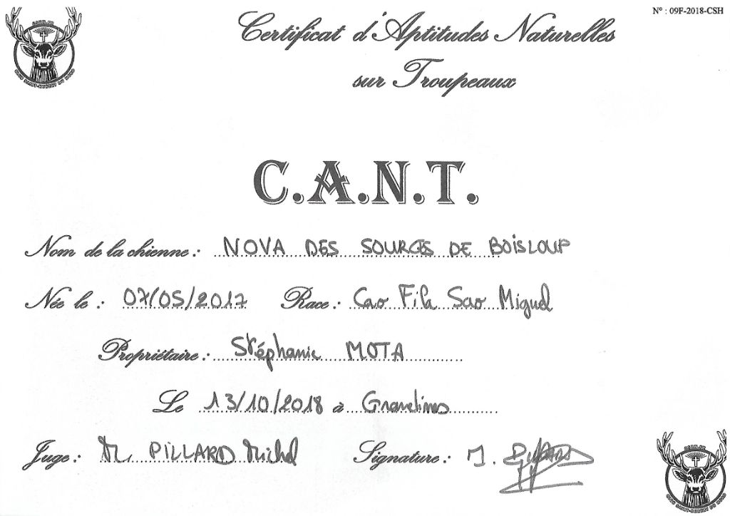 des sources de Boisloup - CANT (certificat aptitude naturelle au troupeau)