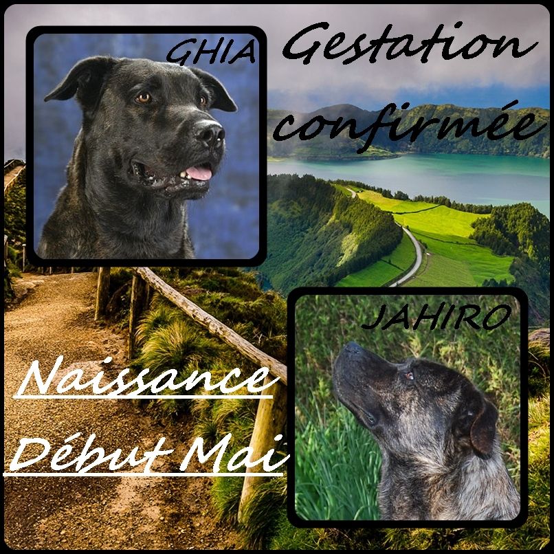 des sources de Boisloup - Nous y voilà !!!!!