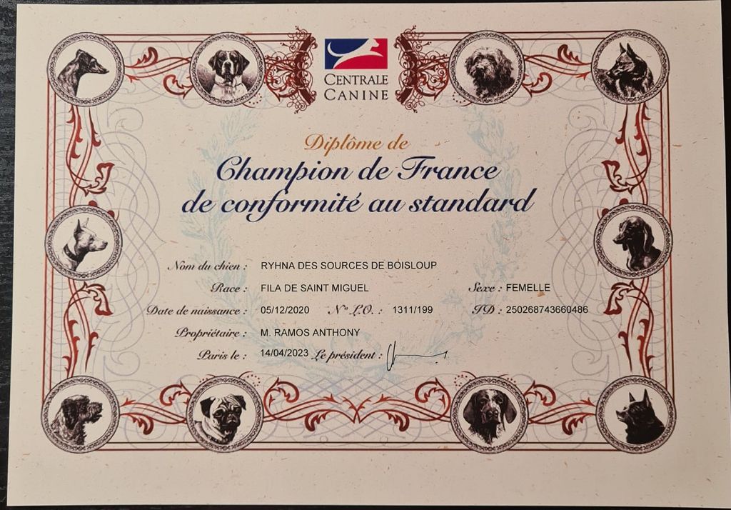 des sources de Boisloup - CHAMPIONNE DE FRANCE et COTATION 4
