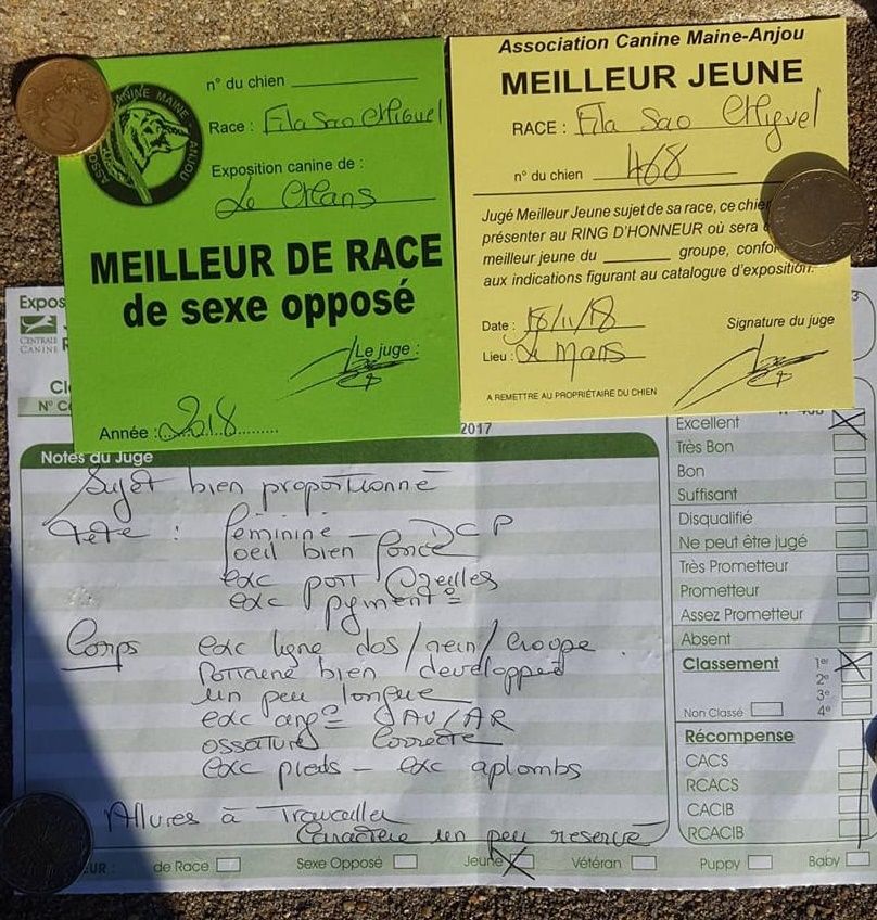 des sources de Boisloup - Retour du MANS avec Xica
