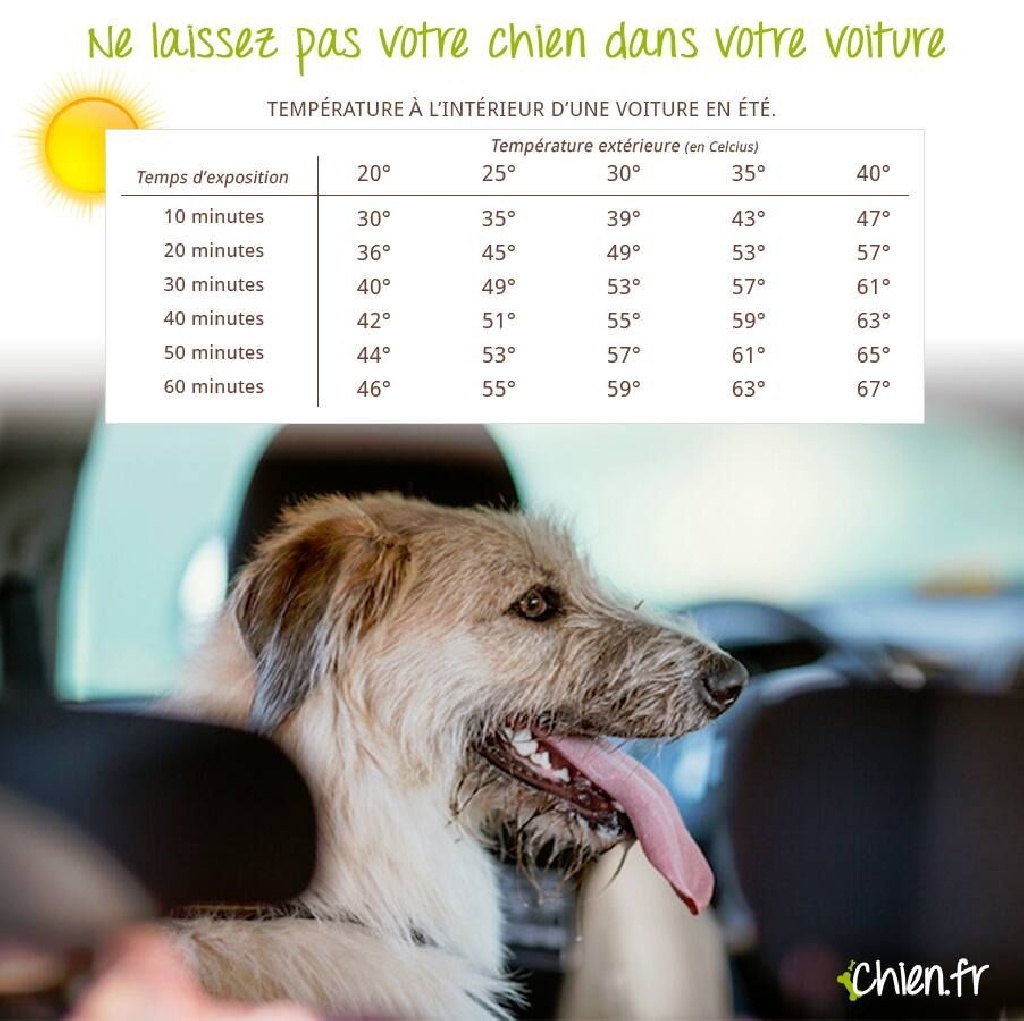 des sources de Boisloup - C'est l'été