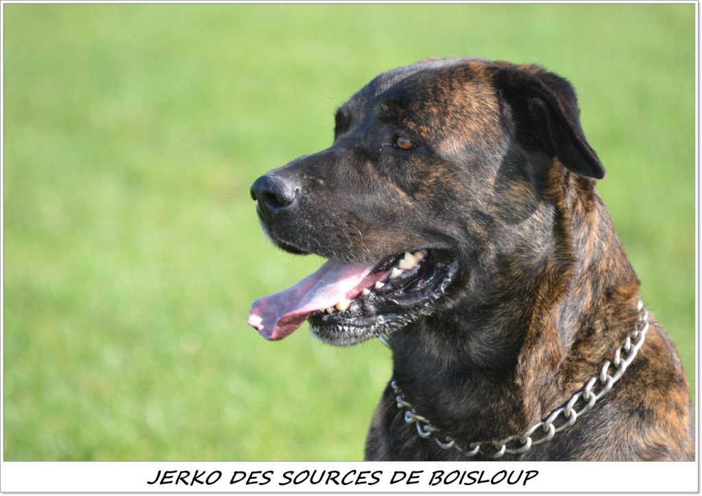 des sources de Boisloup - JERKO obtient son CSAU