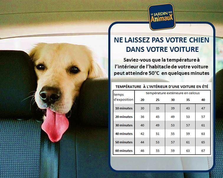 des sources de Boisloup - HAUTES TEMPERATURES ATTENTION DANGER