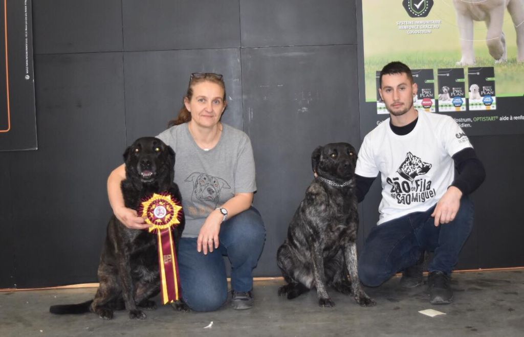 des sources de Boisloup - PARIS DOG SHOW 2019