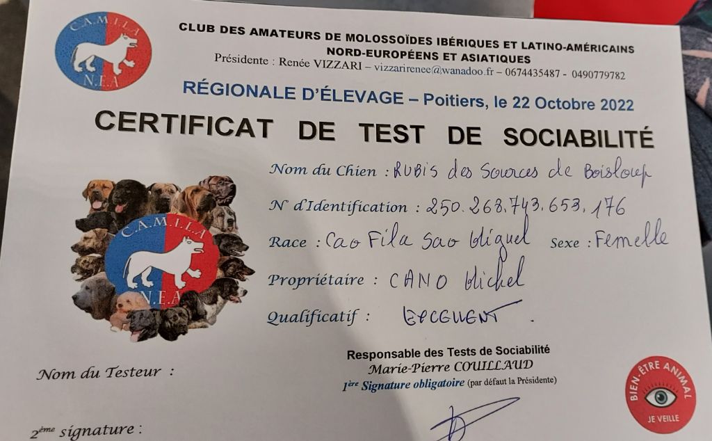 des sources de Boisloup - test de sociabilité de RUBIS