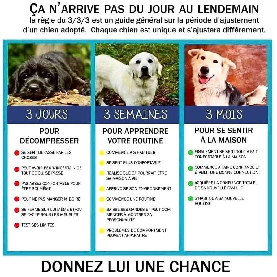 INFORMATION 