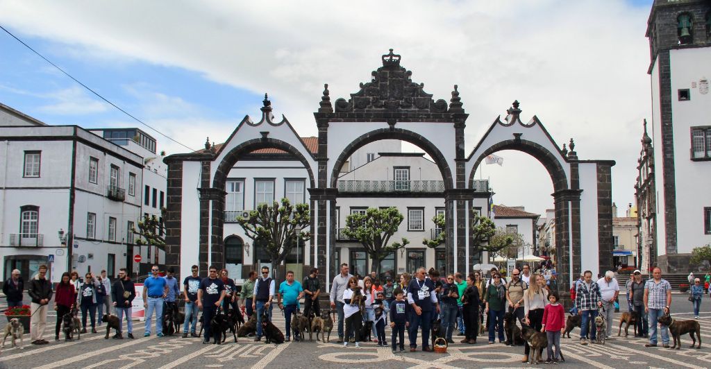 des sources de Boisloup - Rencontre de filas aux Açores